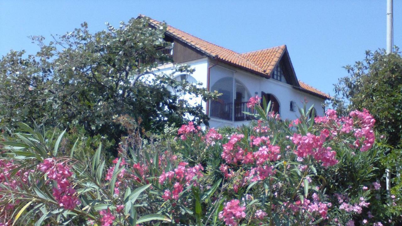 Villa Iris Nea Vrasna Luaran gambar